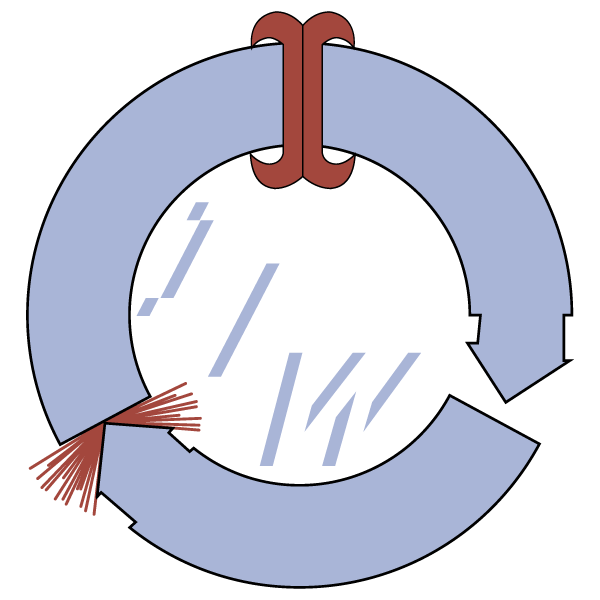 IFW